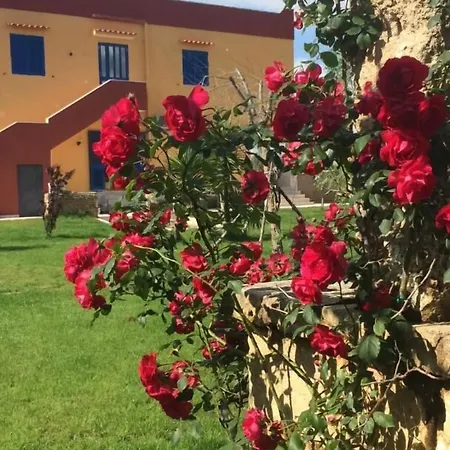 Terra E Colori *